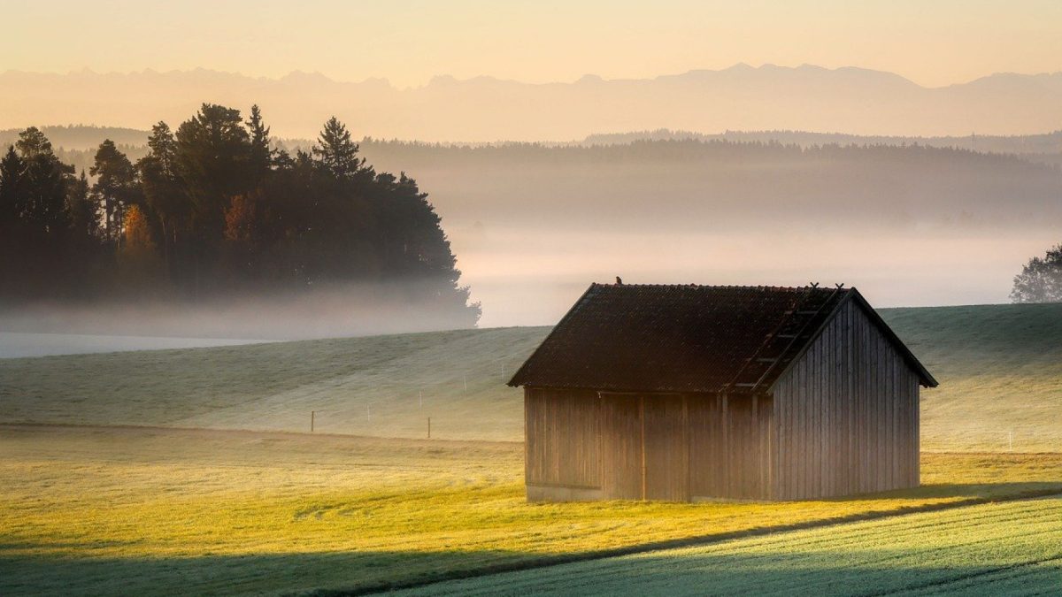 Construire soi-même une cabane pour ses enfants