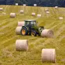 bales, hay, agriculture