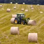bales, hay, agriculture