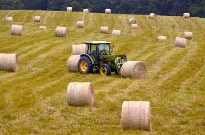 bales, hay, agriculture