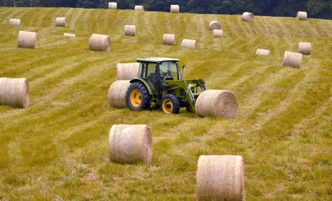 bales, hay, agriculture