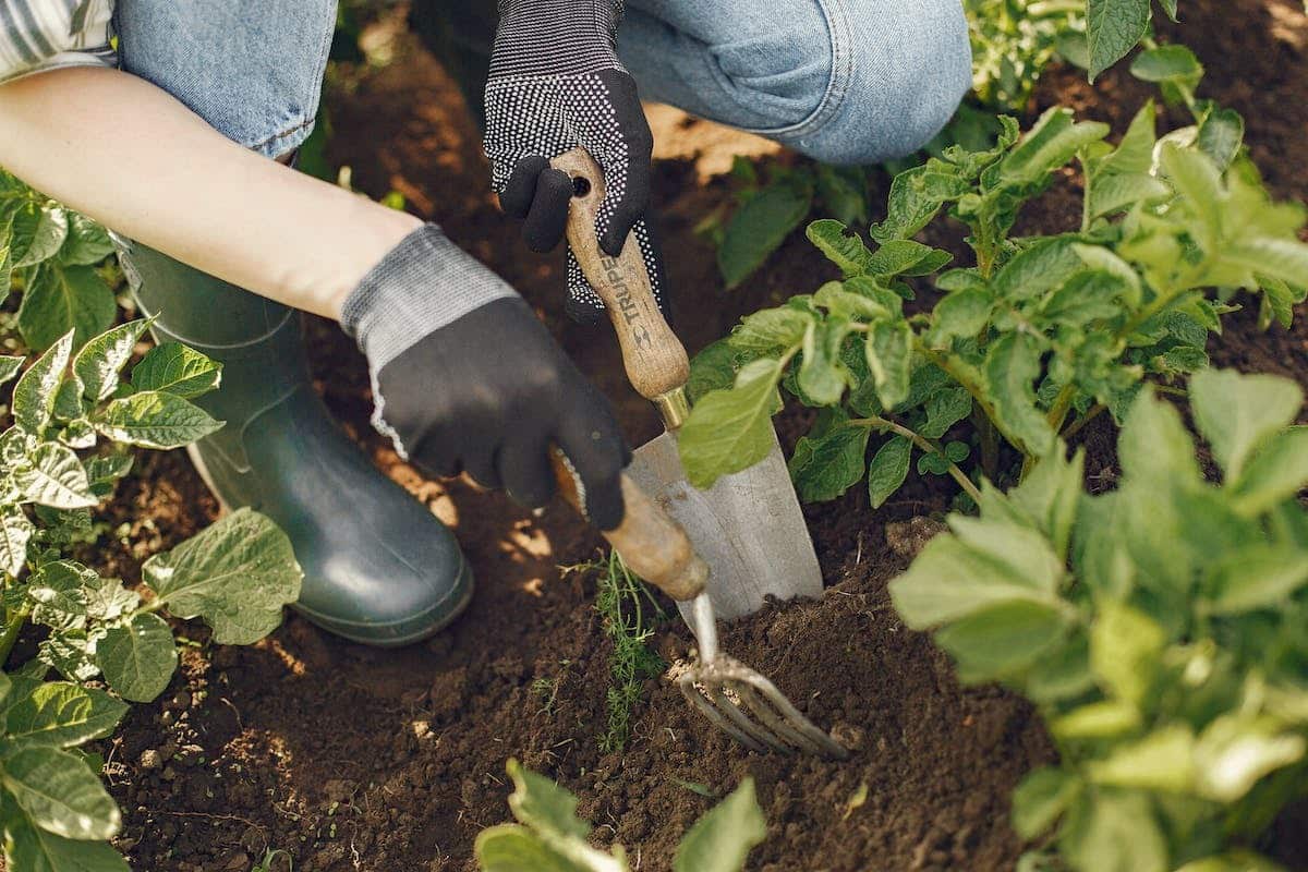 outils jardinage