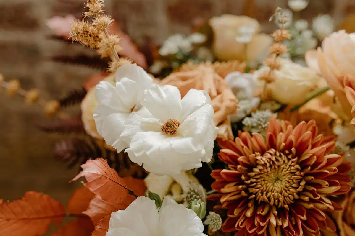 fleurs parfumées