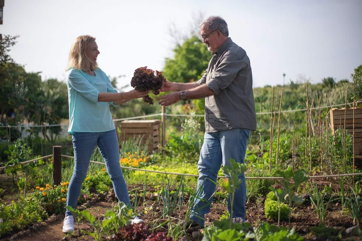 potager familial