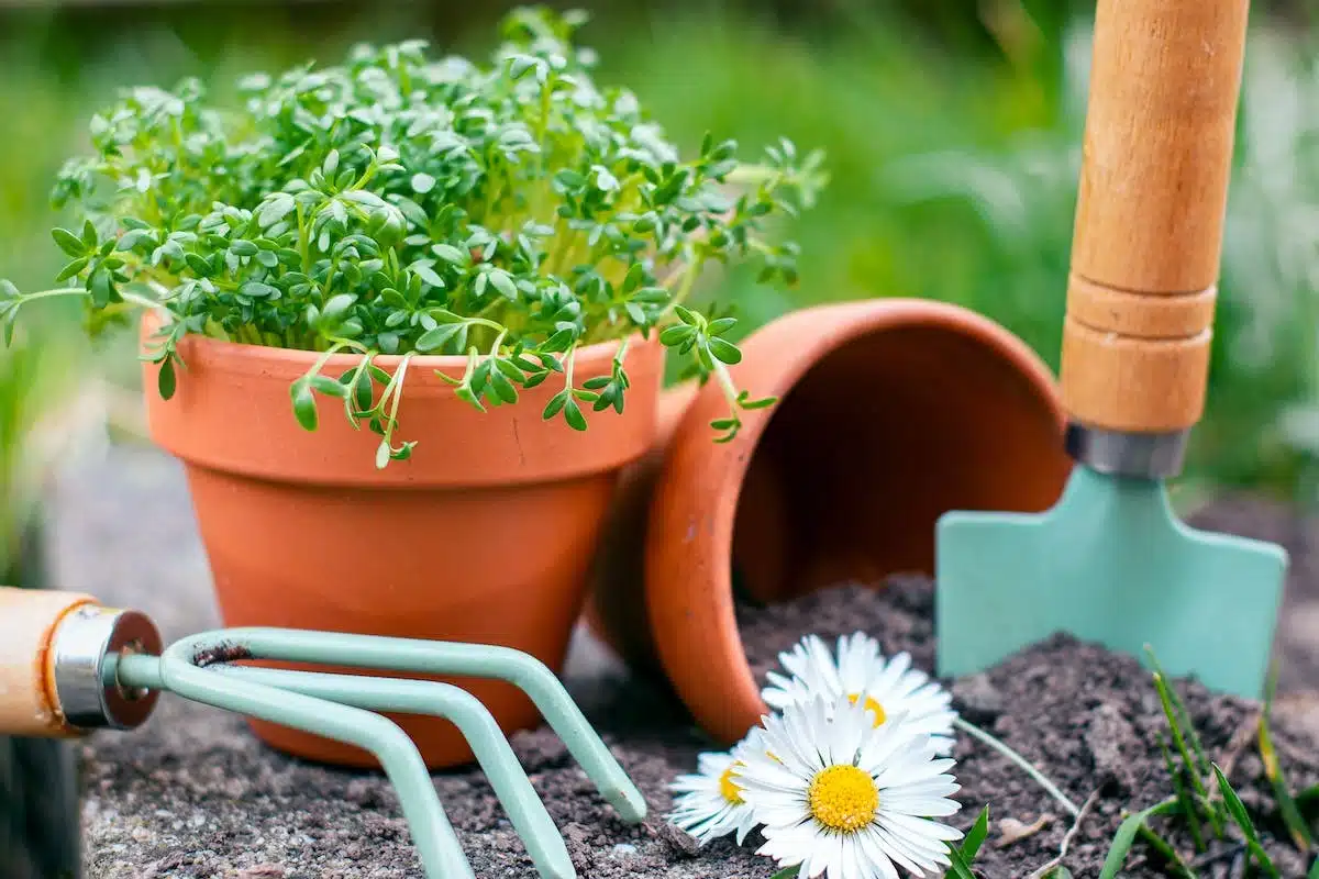 accessoires jardin