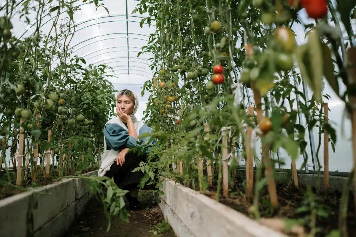 permaculture potager