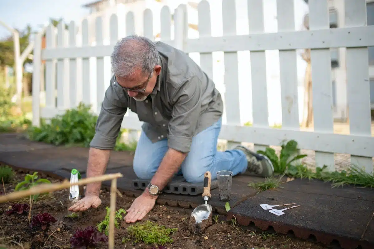 potager  gestion