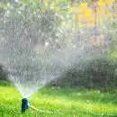 Meilleur système d’irrigation pour votre jardin