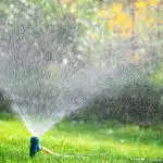 Meilleur système d’irrigation pour votre jardin