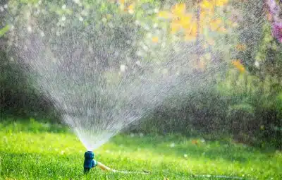 Meilleur système d’irrigation pour votre jardin