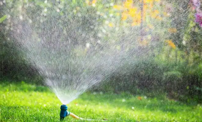 Meilleur système d’irrigation pour votre jardin