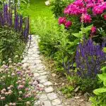 Comment obtenir une fleur vivace aux longues floraisons Découvrez les astuces