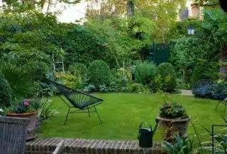 Conseils et astuces pour aménager un jardin écologique