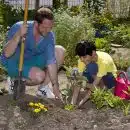 planter et entretenir un potager