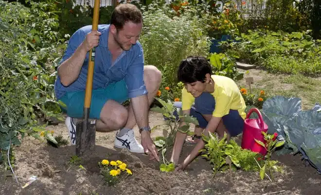 planter et entretenir un potager