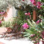 jardin méditerranéen dans votre arrière-cour