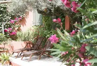 jardin méditerranéen dans votre arrière-cour