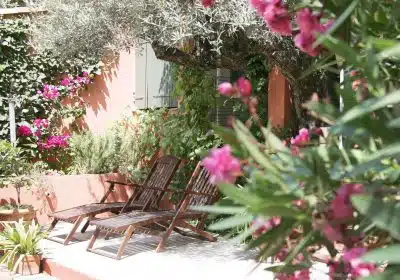 jardin méditerranéen dans votre arrière-cour