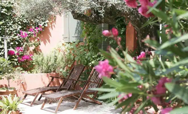 jardin méditerranéen dans votre arrière-cour