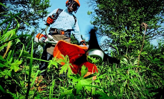 Achat d'équipements de jardin : quand contacter le service client ?
