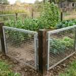 Clôture rigide en panneaux de métal galvanisé entourant un potager familial avec rangées de tomates et haricots