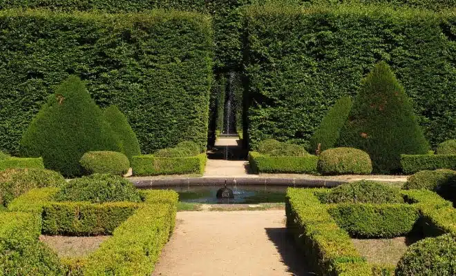 Comment créer un jardin typiquement français ?