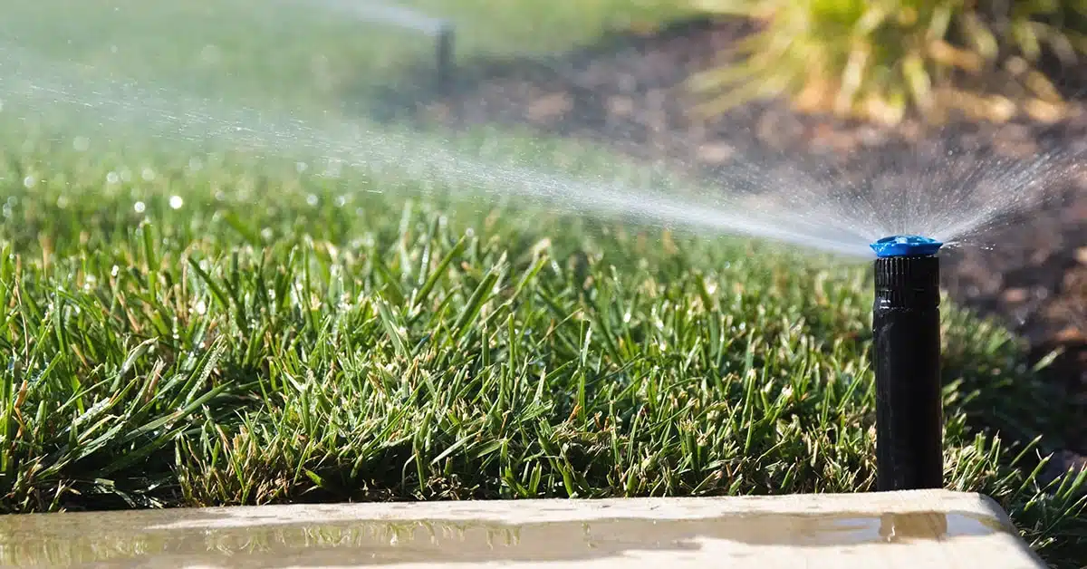 Meilleur système d’irrigation pour votre jardin 