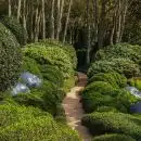 green plants on brown brick pathway