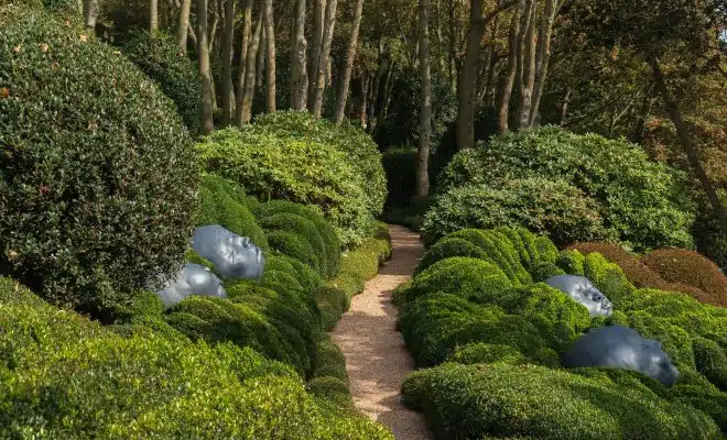 green plants on brown brick pathway