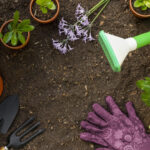 Jardinage bio à domicile : pourquoi faire appel à un pro peut changer la donne ?