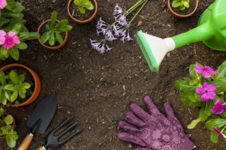 Jardinage bio à domicile : pourquoi faire appel à un pro peut changer la donne ?