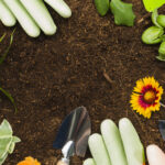 Jardinage bio en ville : la France en tête, même sur un balcon de 15 m²