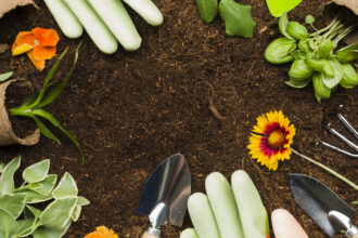 Jardinage bio en ville : la France en tête, même sur un balcon de 15 m²