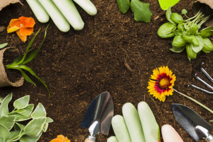 Jardinage bio en ville : la France en tête, même sur un balcon de 15 m²