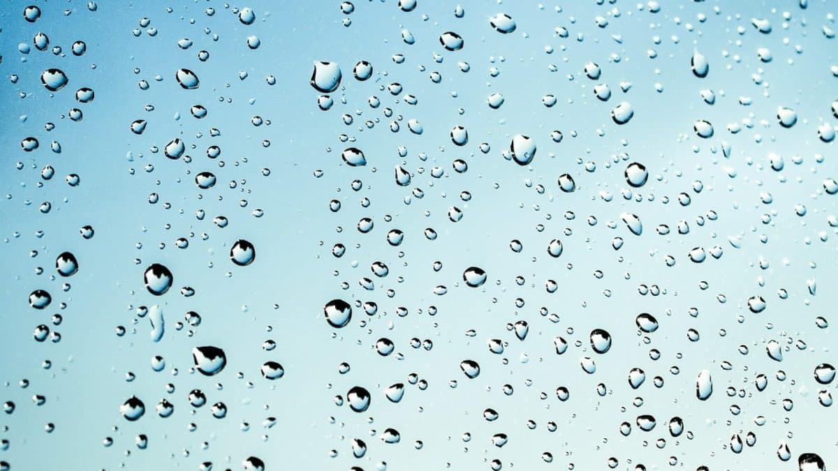 Les bons gestes pour s'équiper et récupérer l'eau de pluie efficacement