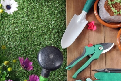 Service à la personne : le jardinage simplifié pour un extérieur impeccable !