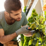 Service de jardinage à domicile : profitez d’un extérieur impeccable