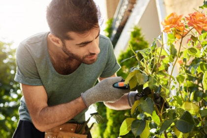 Service de jardinage à domicile : profitez d’un extérieur impeccable