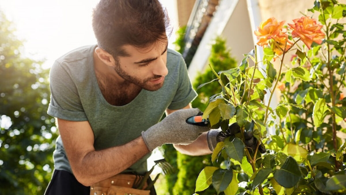 Service de jardinage à domicile : profitez d’un extérieur impeccable