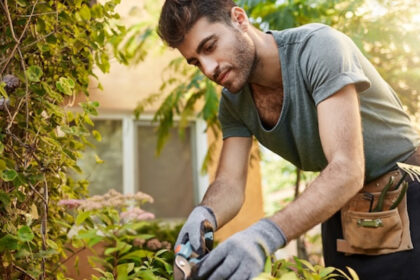 Services à la personne : entretenir facilement son jardin toute l’année sans stress !