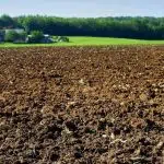 terre agricole