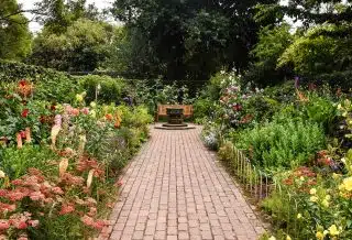 bordures de jardin